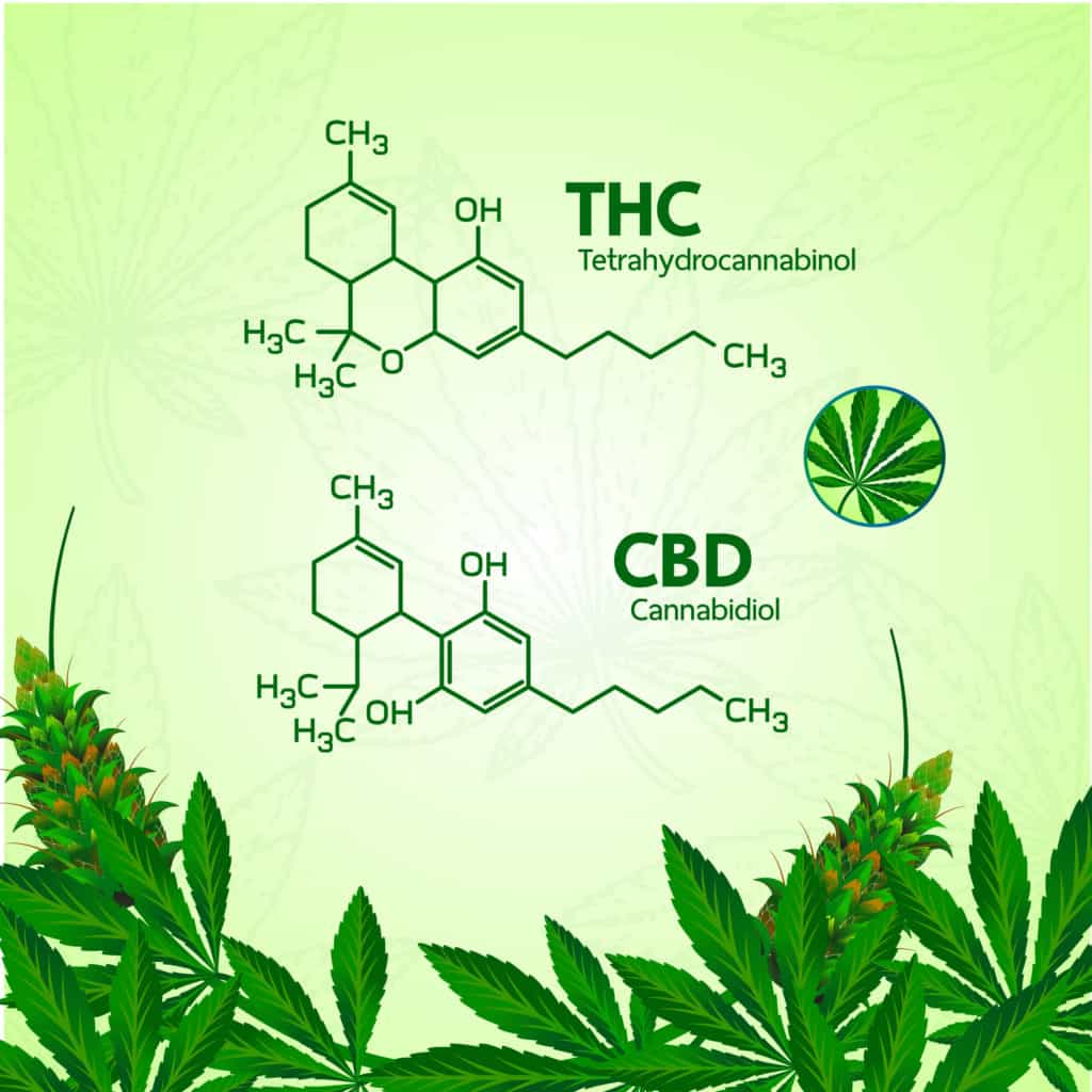 Cannabinoids-delta-8-thc-cannabis-addiction-benefits
